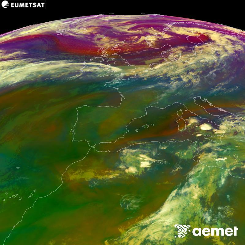 Hoy 